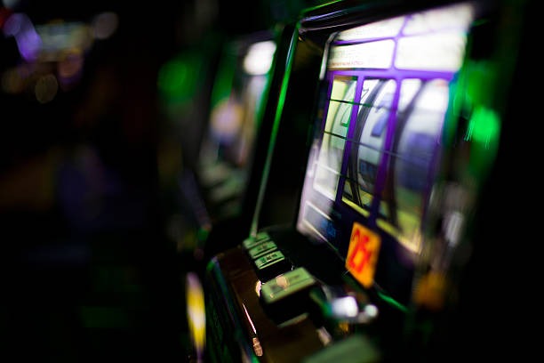 tupai win Arcade
